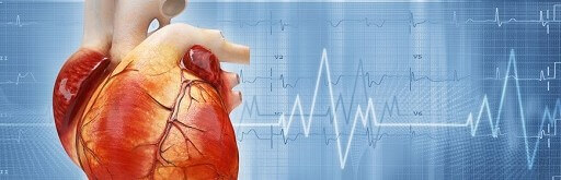 HRV= Herzratenvariabilität