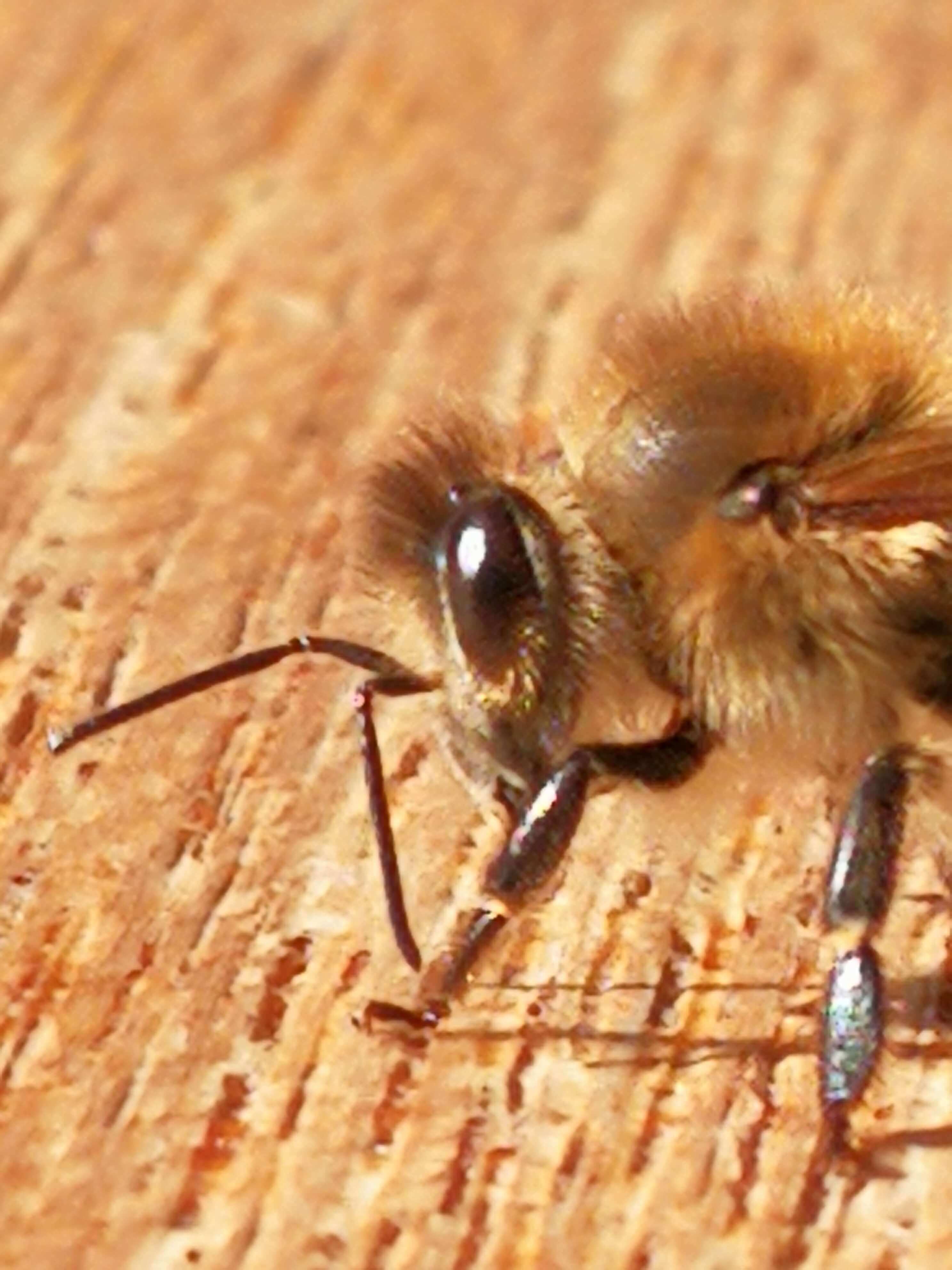 !00 % Wirkstoff 100% Natur