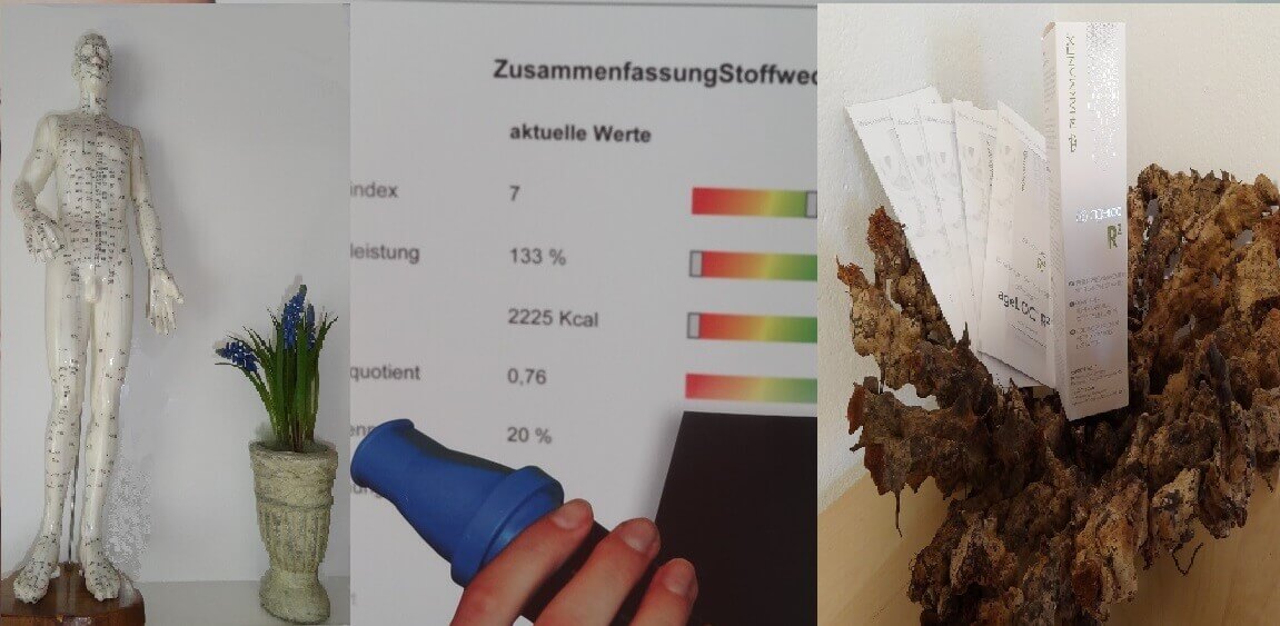 Stoffwechselbanner Stoffwechsel